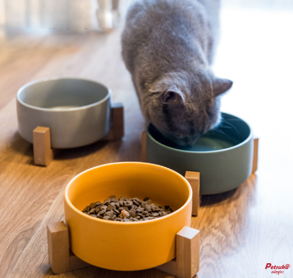 ชามอาหารสัตว์เลี้ยงสุนัขและแมว Petsuka สีเทา